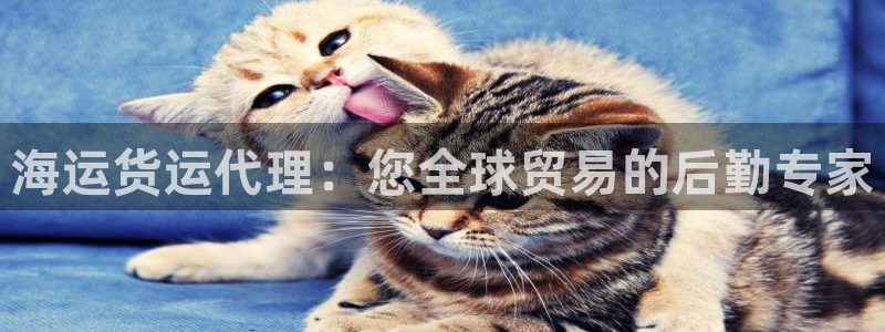 欢迎来到公海欢迎来到赌船