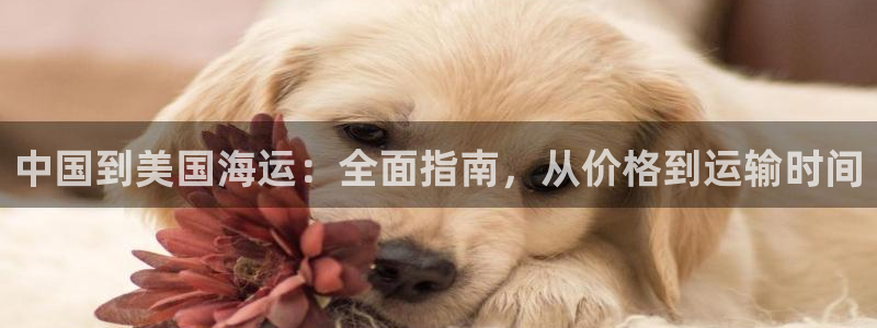欢迎来公海欢迎来赌船!