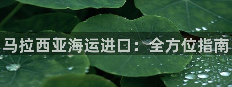 欢迎您来到公海客服