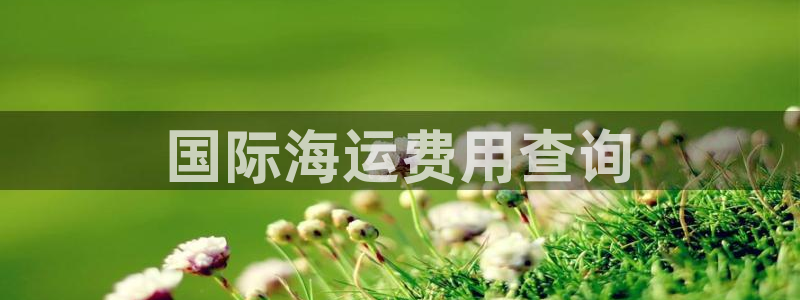 欢迎上船