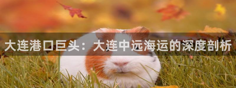 公海赌船怎么样