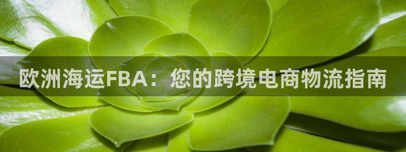 公海欢迎来到赌船