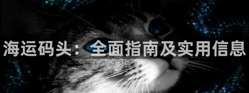 在公海赌博犯法吗