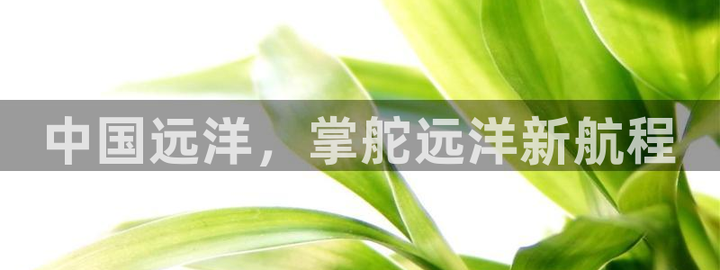 欢迎来到大海