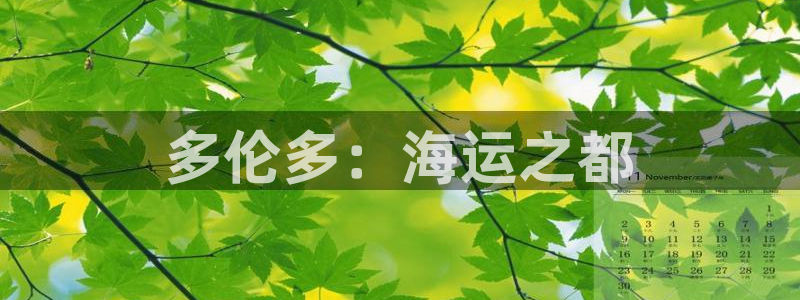 公海赌赌船官网