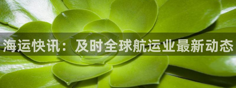 欢迎来公海欢迎来到赌船!