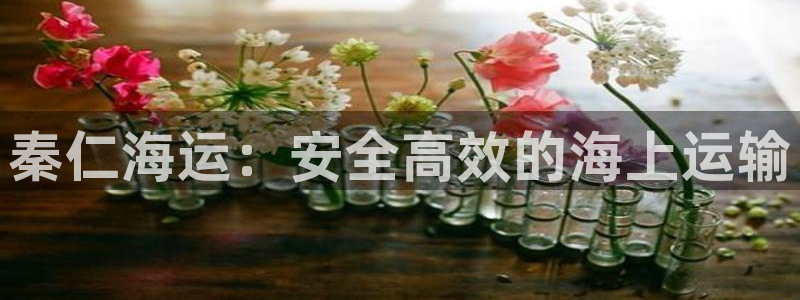 欢迎到我的船上来的英文