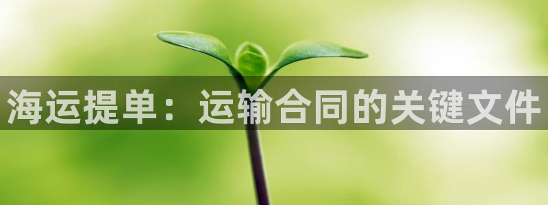 欢迎来到 公园