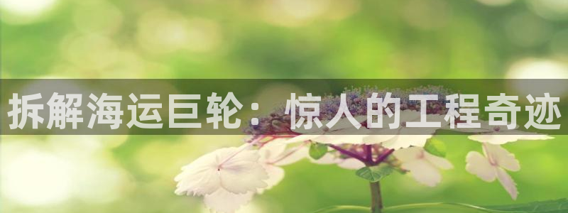 欢迎来到公海手机版710
