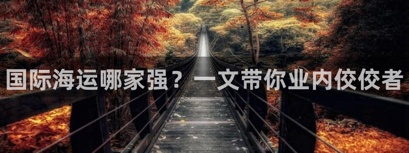 公海赌钱公安会抓吗