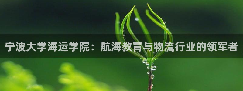 公海赌船赌博