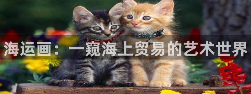欢迎您来到公海客服