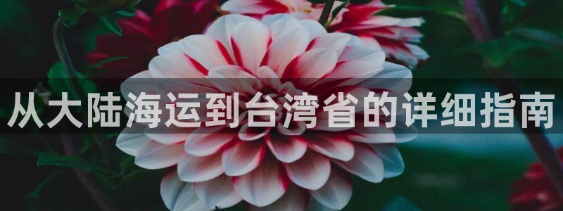 欢迎你来到公主的海岛