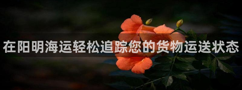 欢迎来到公海欢迎来到赌船!!