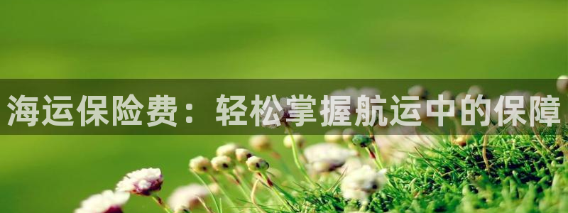 公海赌赌船官网介绍人