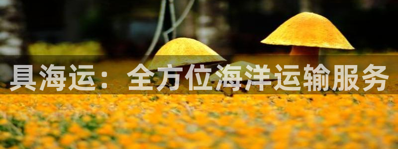 欢迎你来到公海欢迎你来到赌船