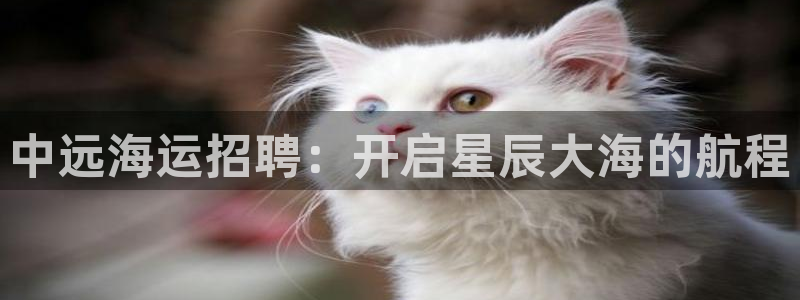 欢迎来到大海