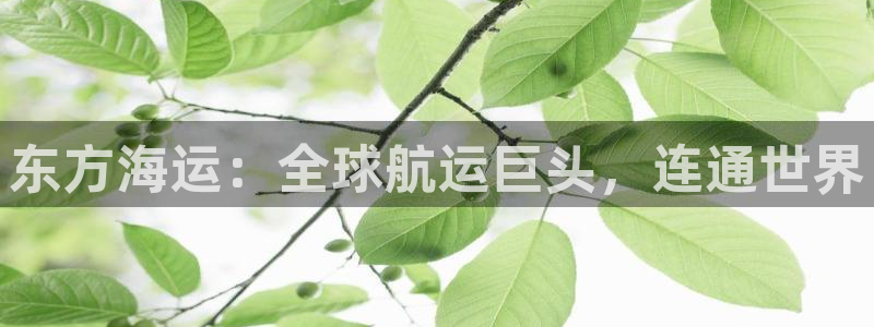欢迎来到公海710线路是多少