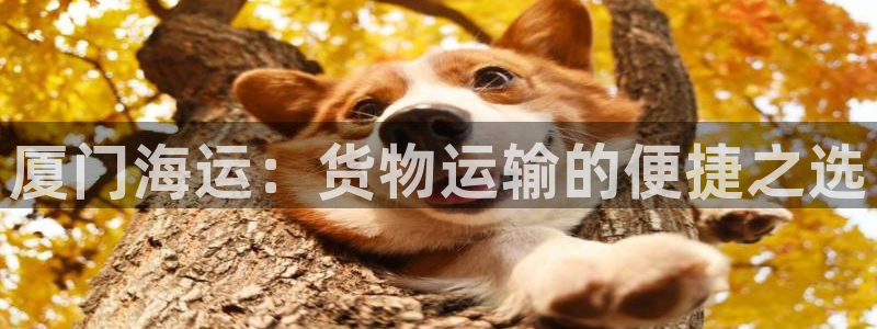 公海赌赌船最新版本更新内容