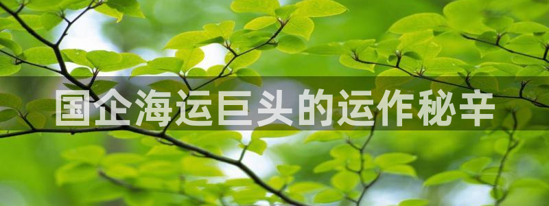 公海赌博怎么处理