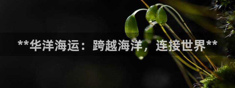 公海赌船网页