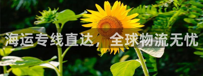 公海赌赌船官网jc710