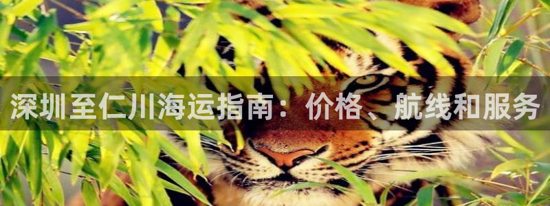 欢迎来到公海