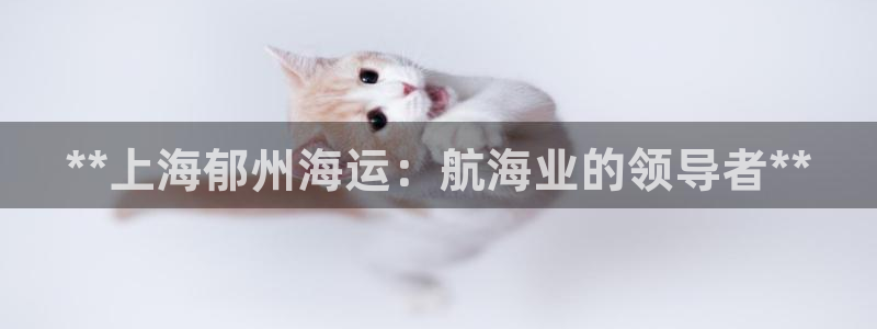 公海赌钱犯法吗