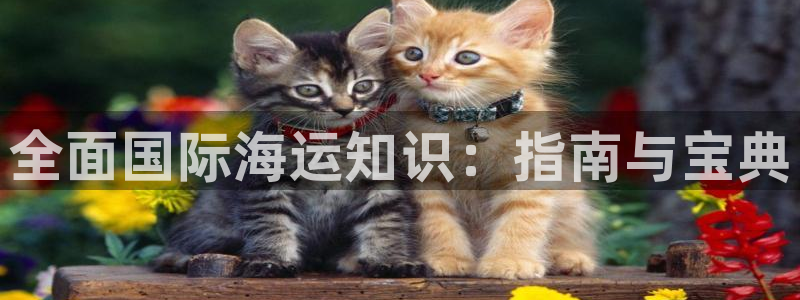 欢迎来到公海电脑版