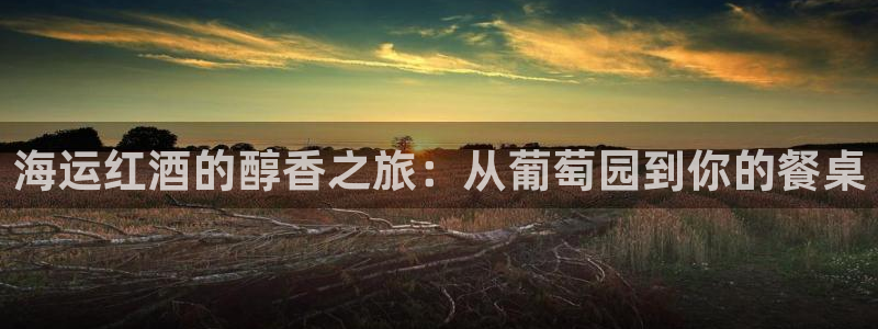 公海赌船赌博