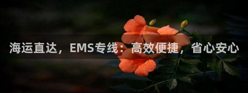 公海赌赌船710检测路线