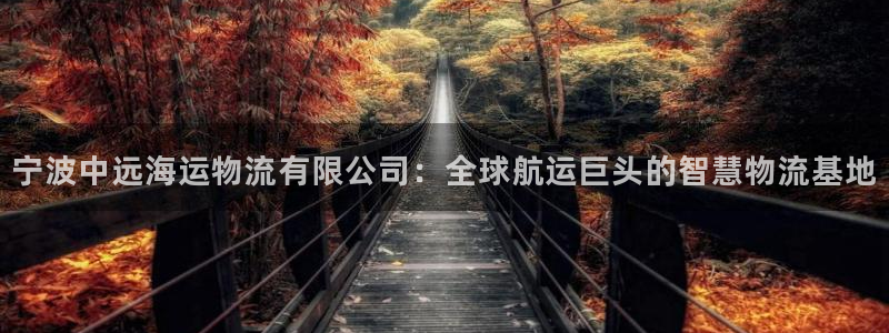 公海赌赌船官网图标
