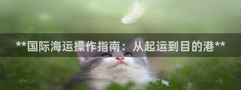 公海赌赌船官网jc710公海