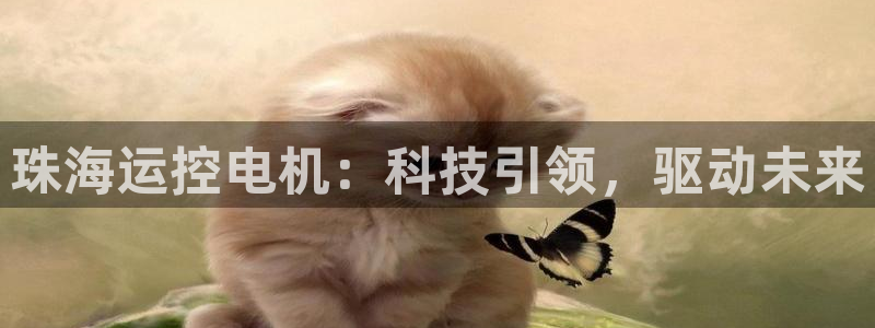 欢迎公海赌710