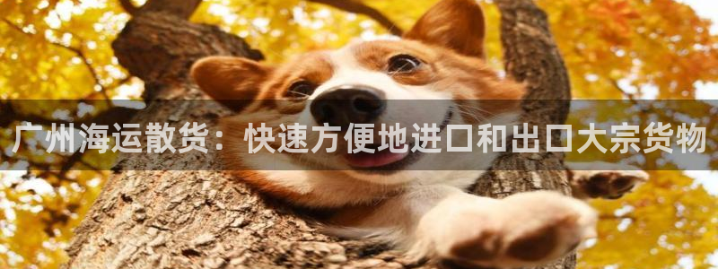 公海船赌网站是多少