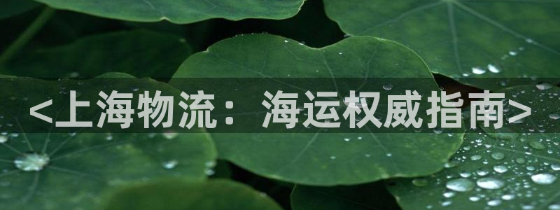 在公海赌博犯法吗