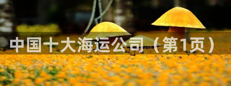 公海赌赌船贵宾会员检测路线