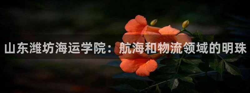公海赌船吧