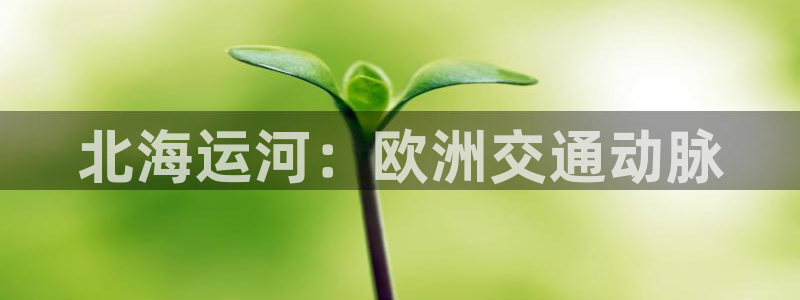 公海赌钱很大吗