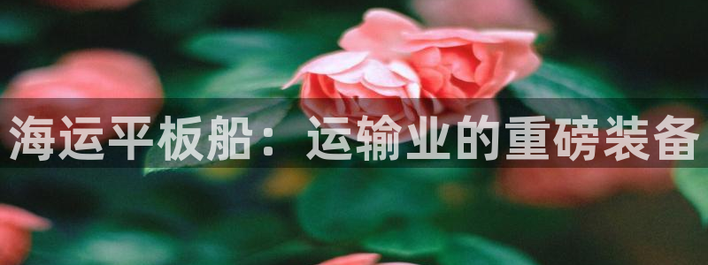 欢迎来到海牛星简谱