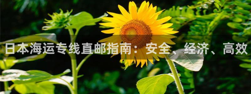 公海赌博为什么不犯法