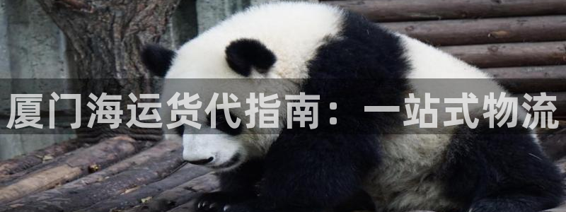 公海欢迎来到赌船