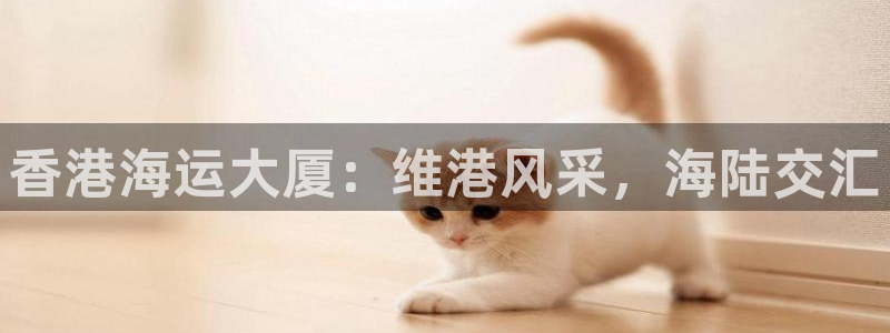 欢迎来到公赌船