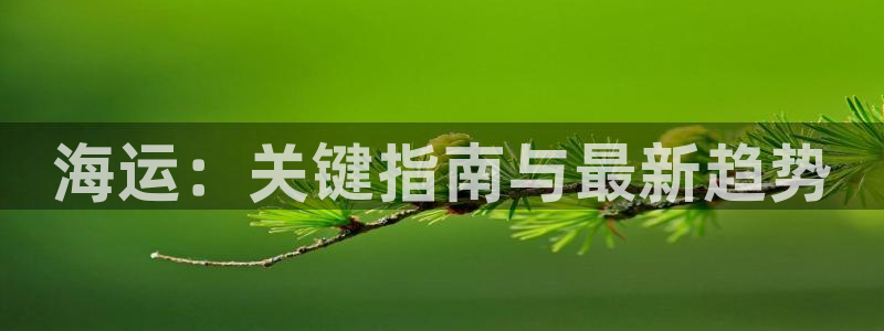 公海赌钱违法吗