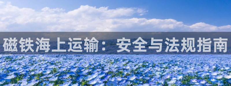 公海赌钱很大吗