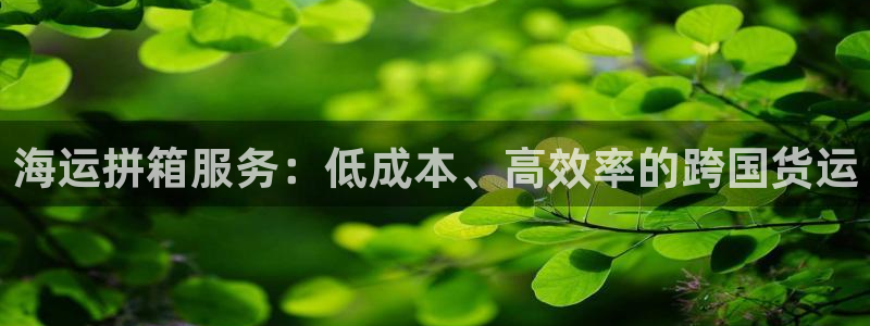 欢迎来到公海710线路是多少