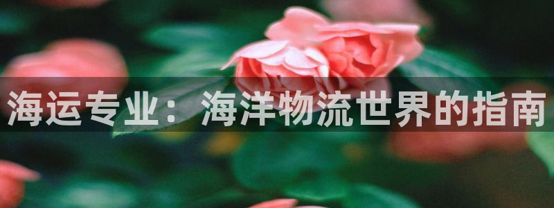 欢迎来到海边