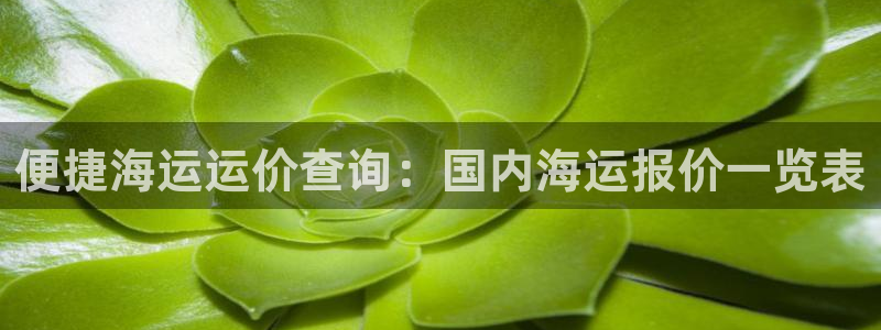 欢迎来到公海欢迎来到