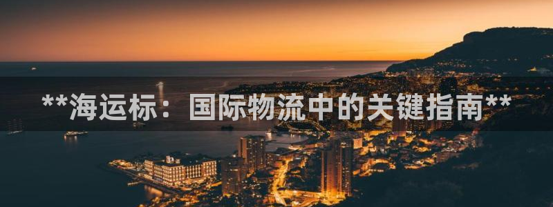 去公海赌博