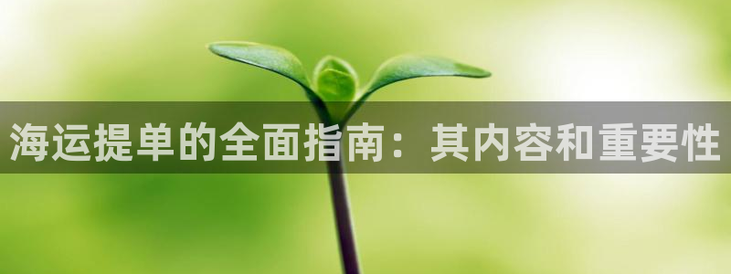 在公海赌博犯法吗